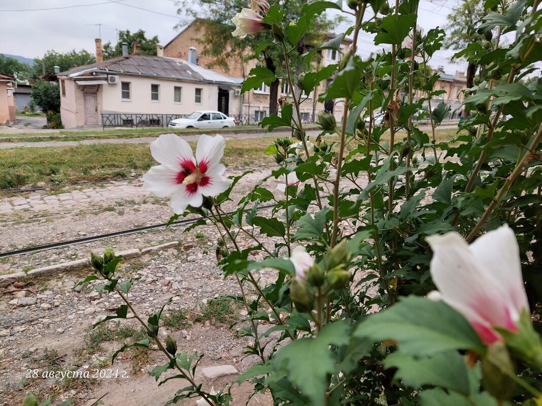 В Пятигорске - Ирэн 