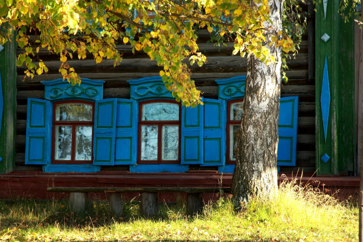 Осеннее солнышко... - Нэля Лысенко