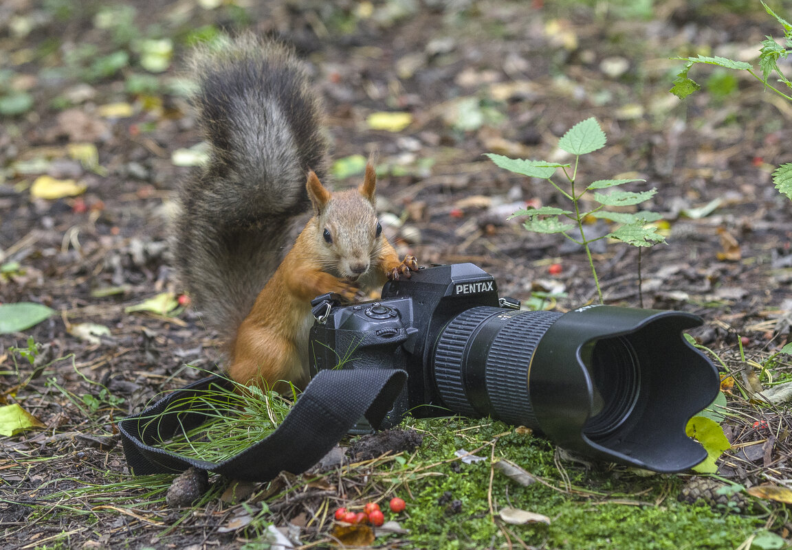 Фотосессия - Михаил Измайлов