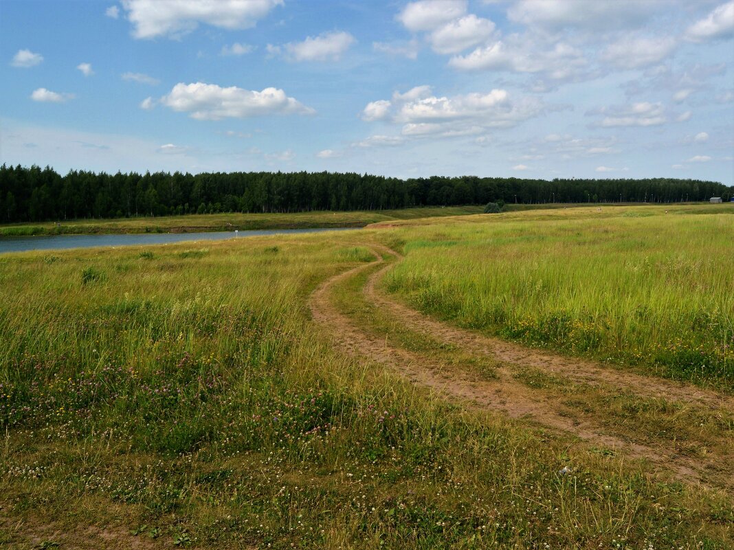 Канаш. Дорога Южного оврага. - Пётр Чернега