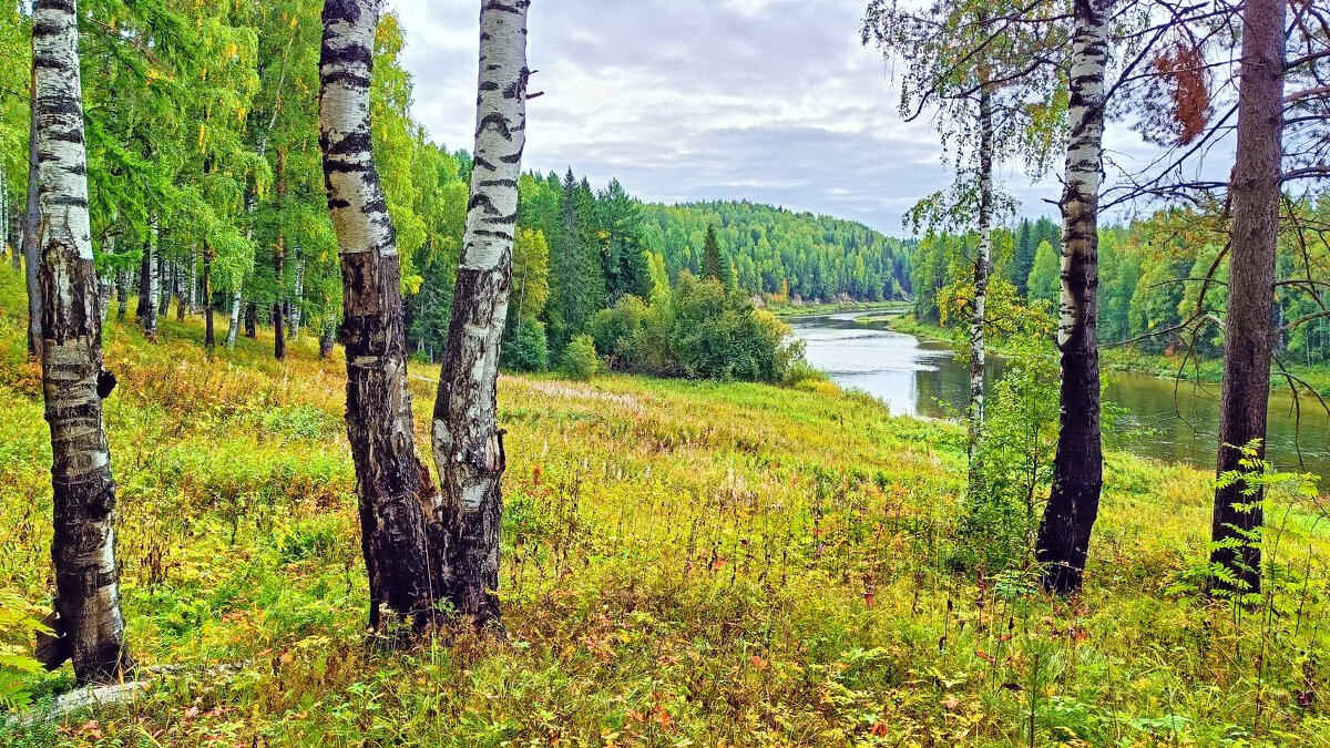 Река Ухта, осень - Александр Ульныров