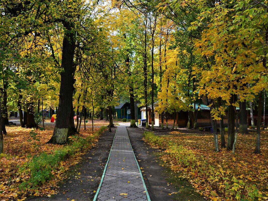 Канаш. Центральный городской парк осенью. - Пётр Чернега