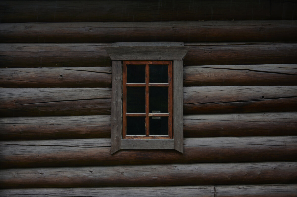 * - Наталья Покацкая