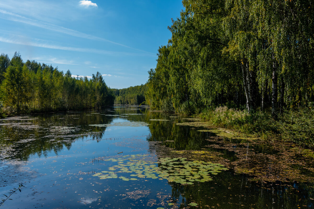 *** - Дмитрий Лупандин