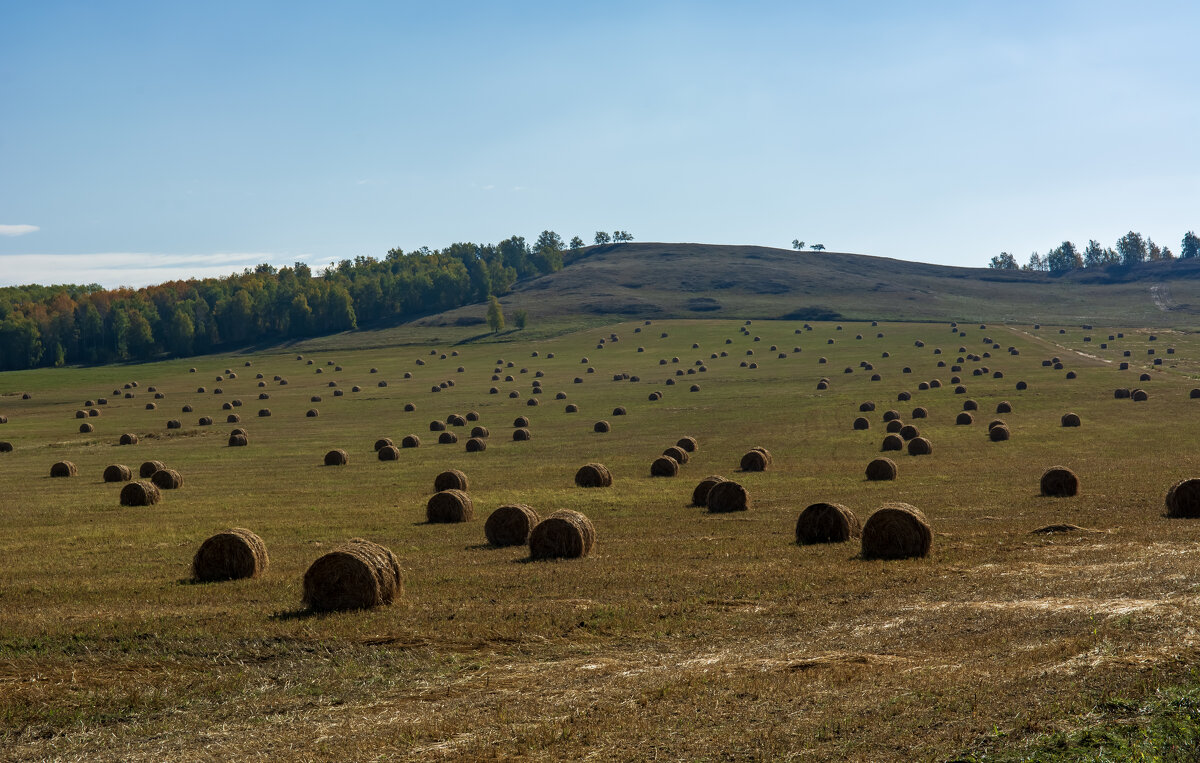 Осень - Петр 