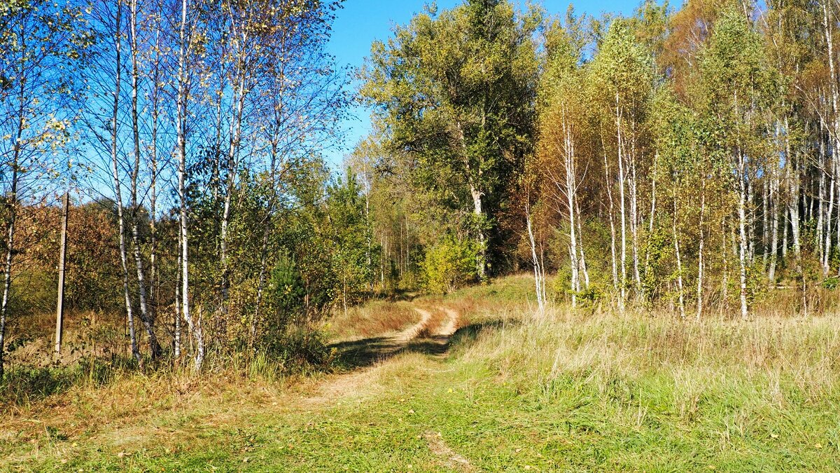 Дорога рыбаков по берегу Днепра (репортаж из поездок по области). - Милешкин Владимир Алексеевич 