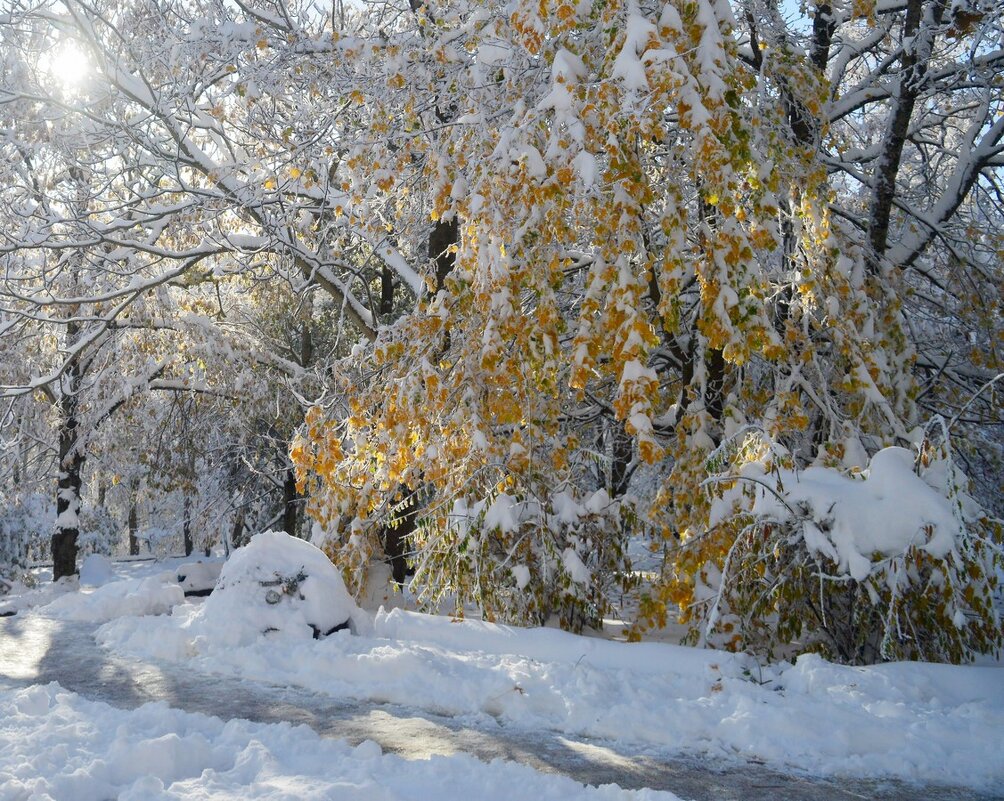 Осенним утром..... - Юрий Цыплятников