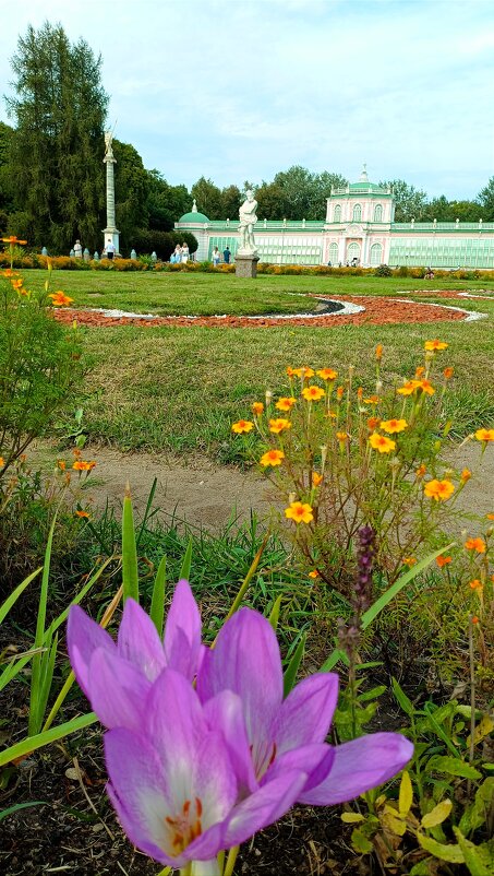 Цветочки - Светлана 13.06.