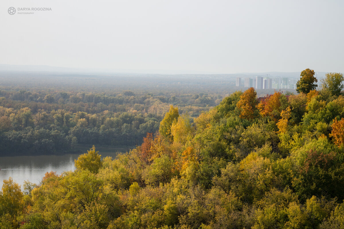 Осень на Белой - Дарья Рогозина