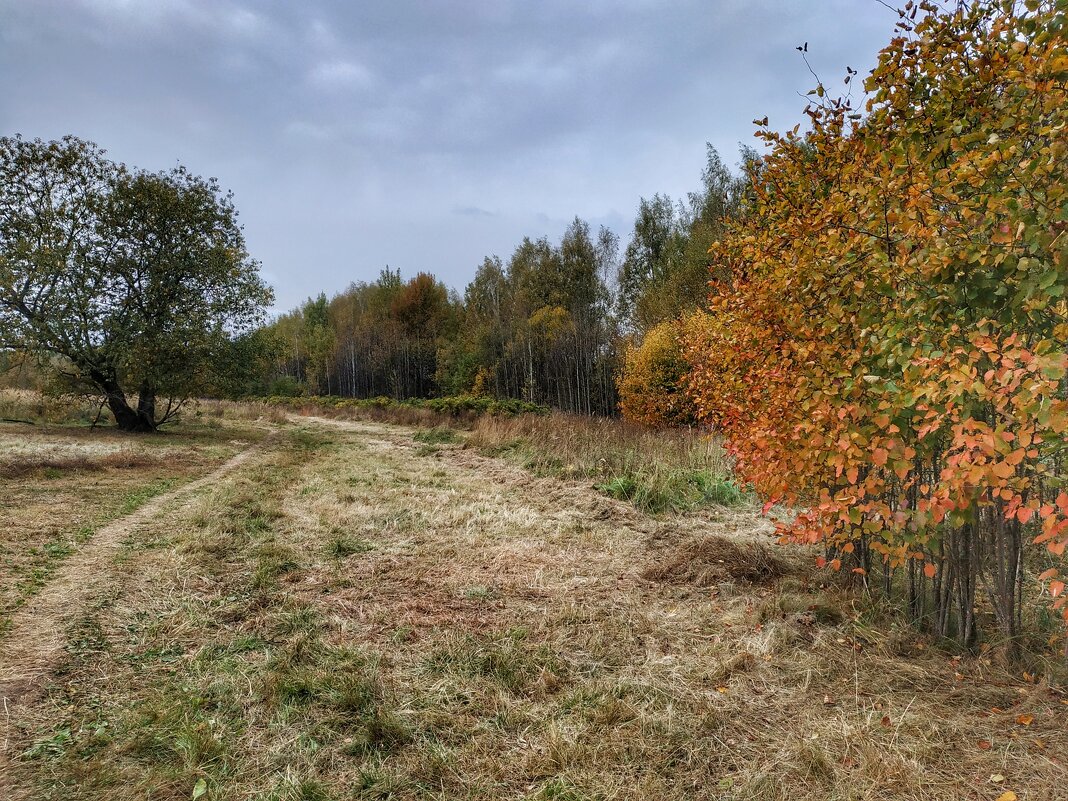 дорогами осени - Валентина. .