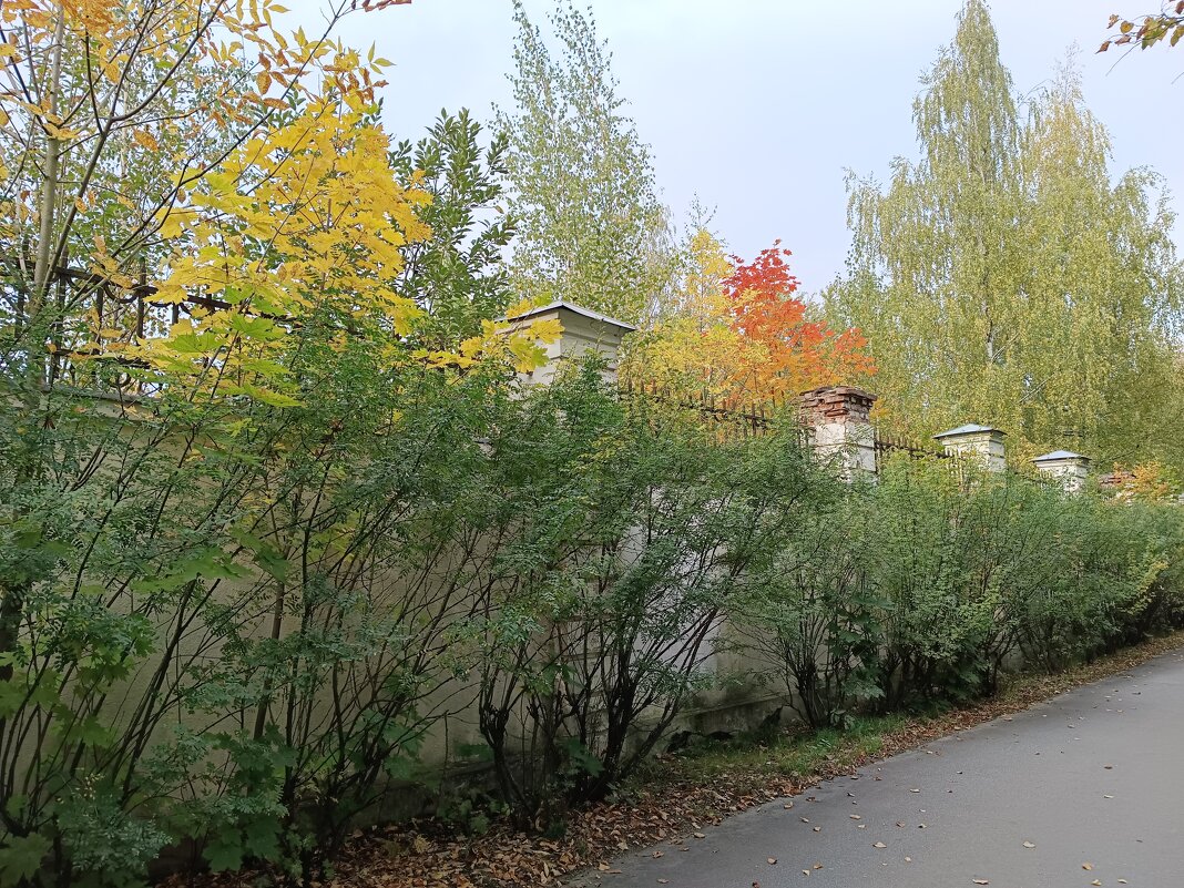 Осени приметы... - Мария Васильева