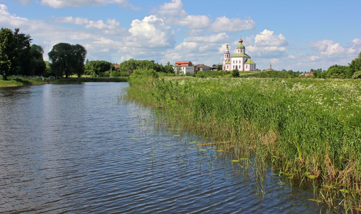 Река Каменка - Владимир Соколов (svladmir)