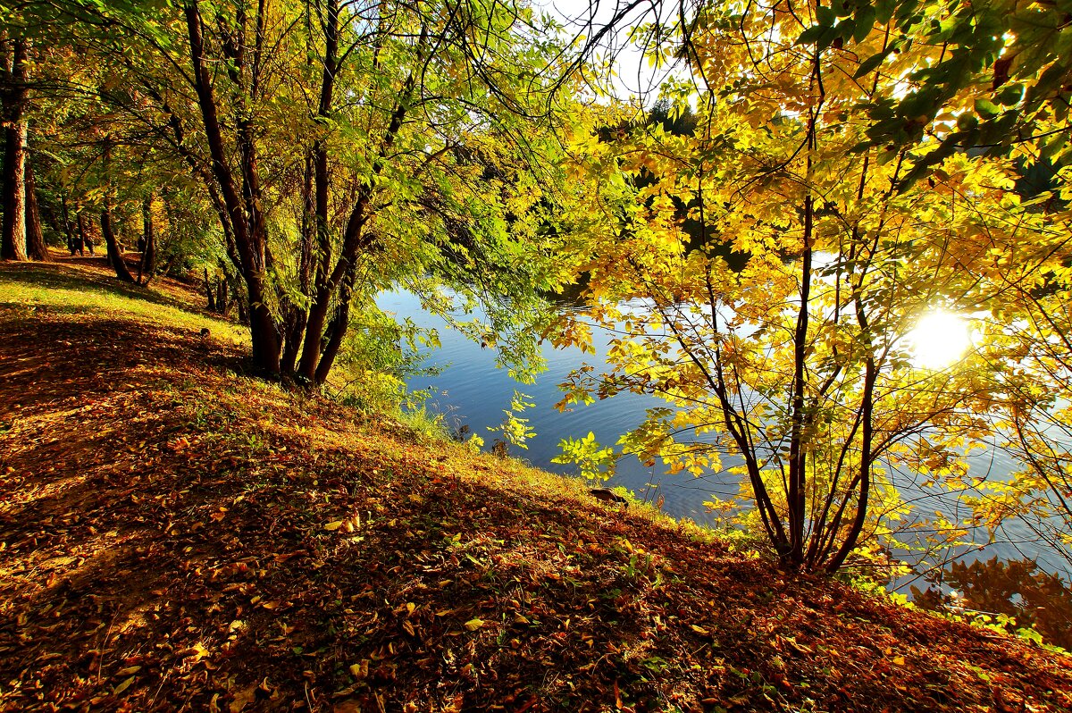 ЦАРИЦЫНО - АЛЕКСАНДР 