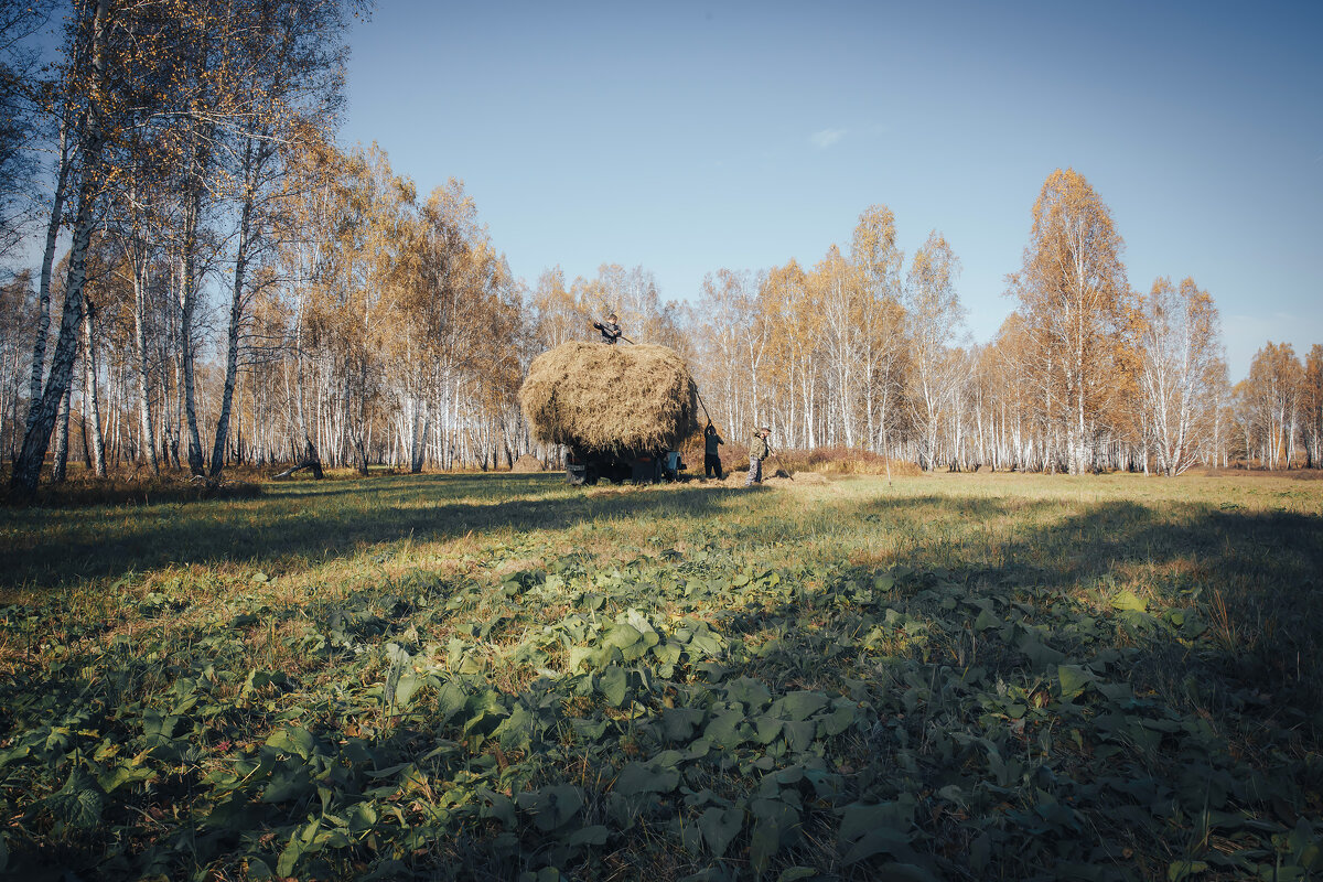 *** - Алексей Белик