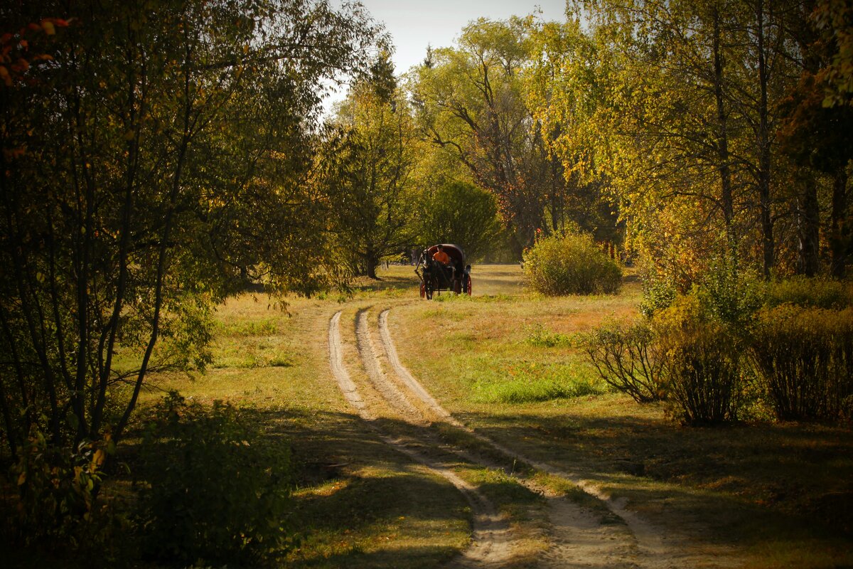 Тарханы - Пасечник 