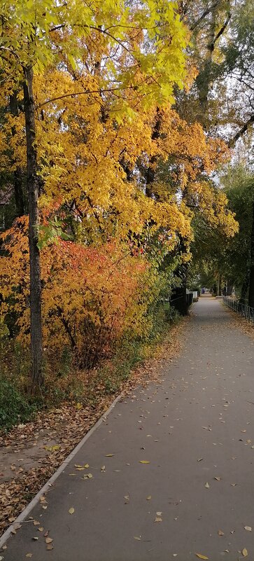 Осенние краски города - Любовь Иванова