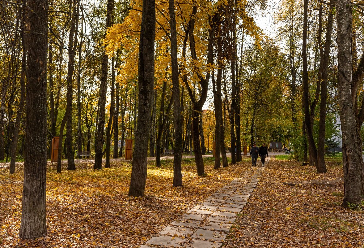 Осень в парке - Андрей Андрианов