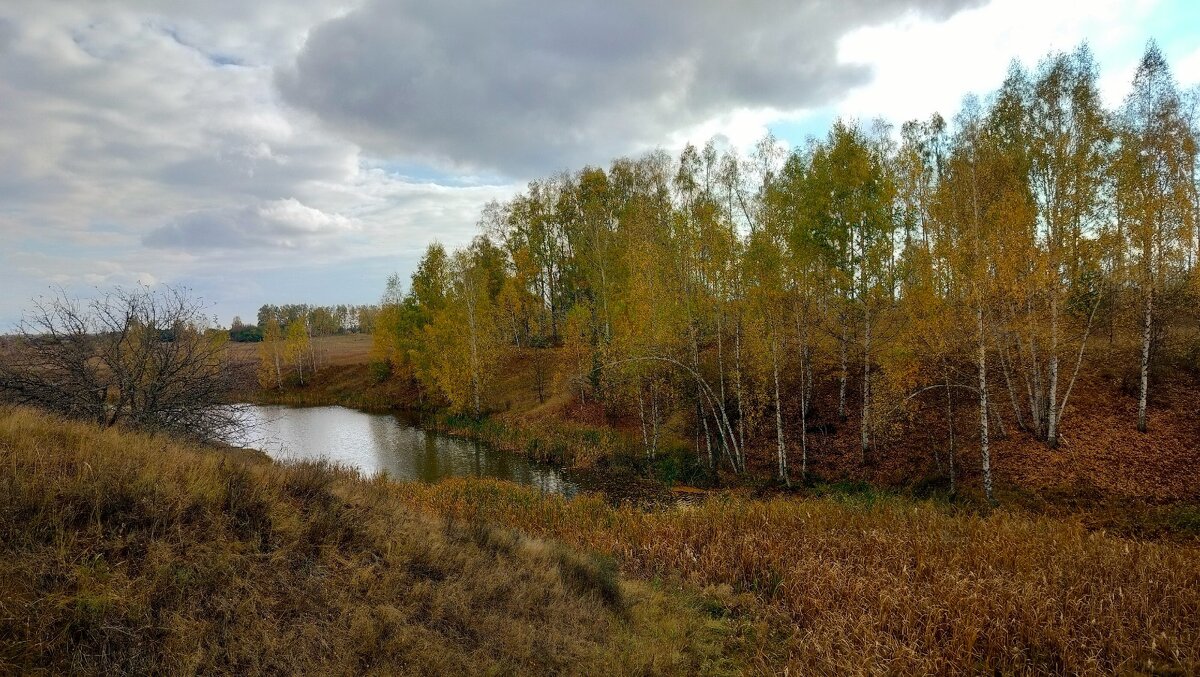 Пензенская область - Пасечник 