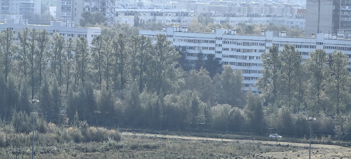 Взгляд с 22-го этажа в туманную даль Гражданки - Стальбаум Юрий 