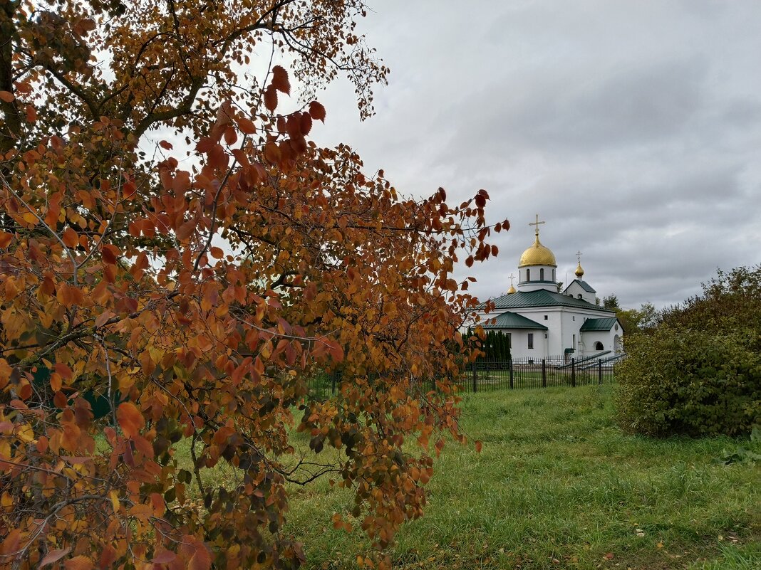 Осенние зарисовки - Мария Васильева