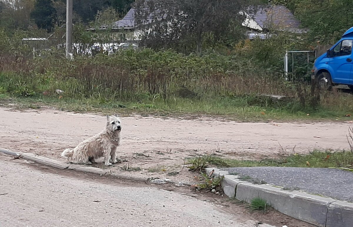 *** - Наталья Герасимова