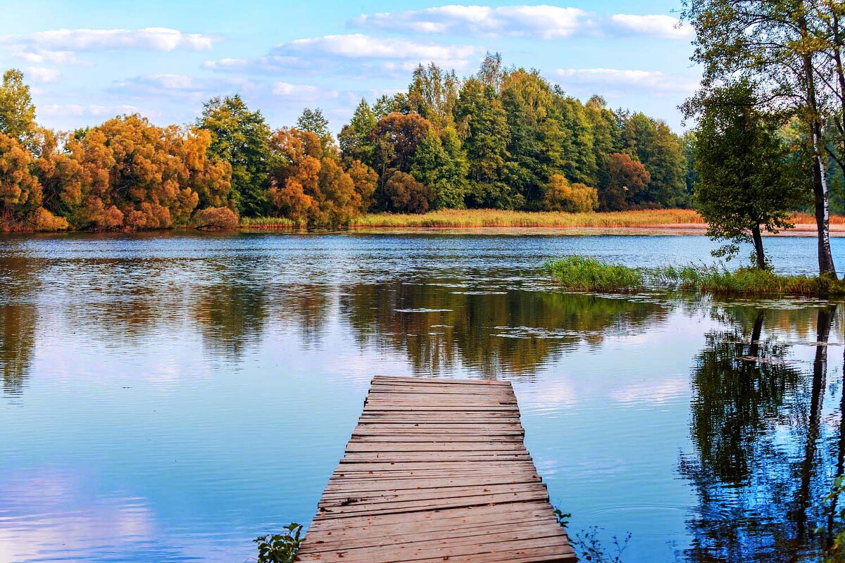 На реке - Александр 