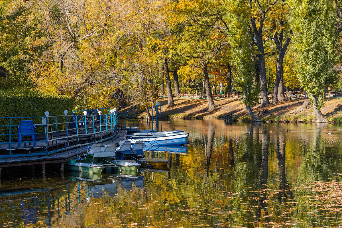 В городском парке - vladimir 