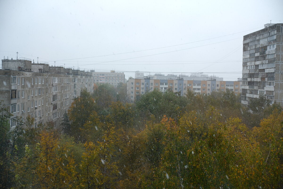 Ну вот и всё... Первые снежинки. - Лютый Дровосек