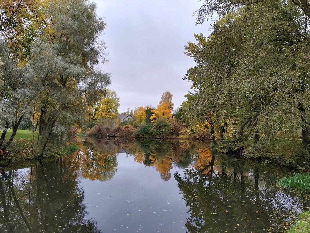 Осенние берега в отражениях ... - Мария Васильева