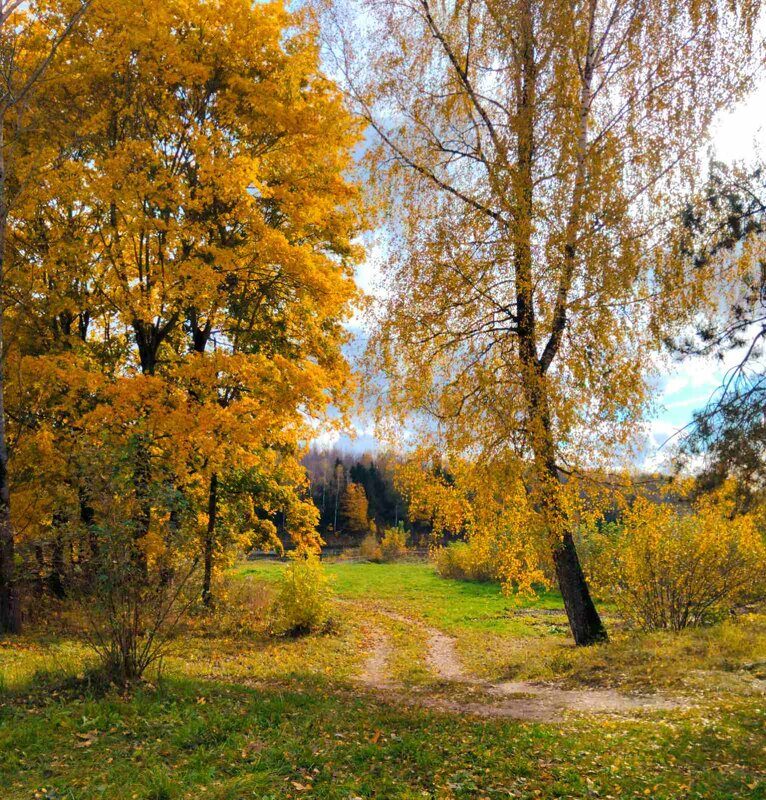 Тропинка в осень - Галина Бобкина