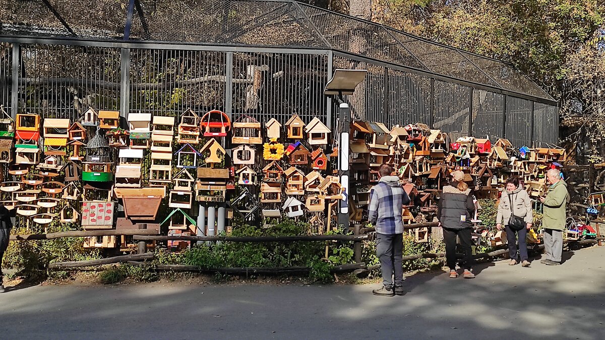 Внимание, конкурс - Татьяна Лютаева