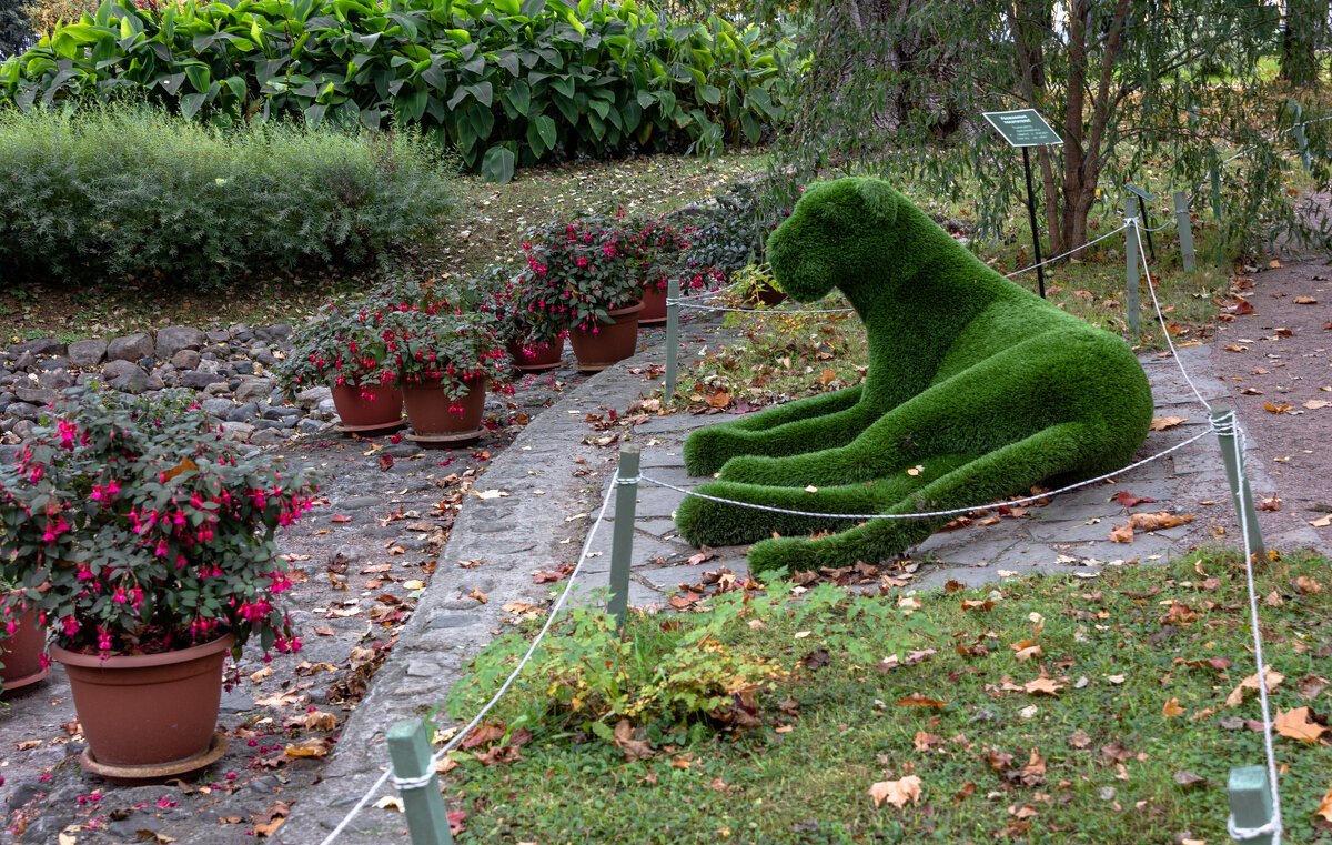 Корякинский парк в Рыбинске - ирина )))