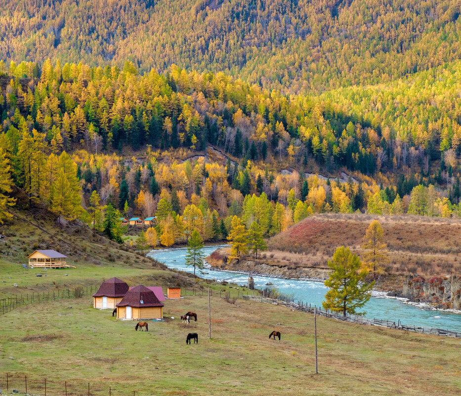 *** - Алексей Мезенцев