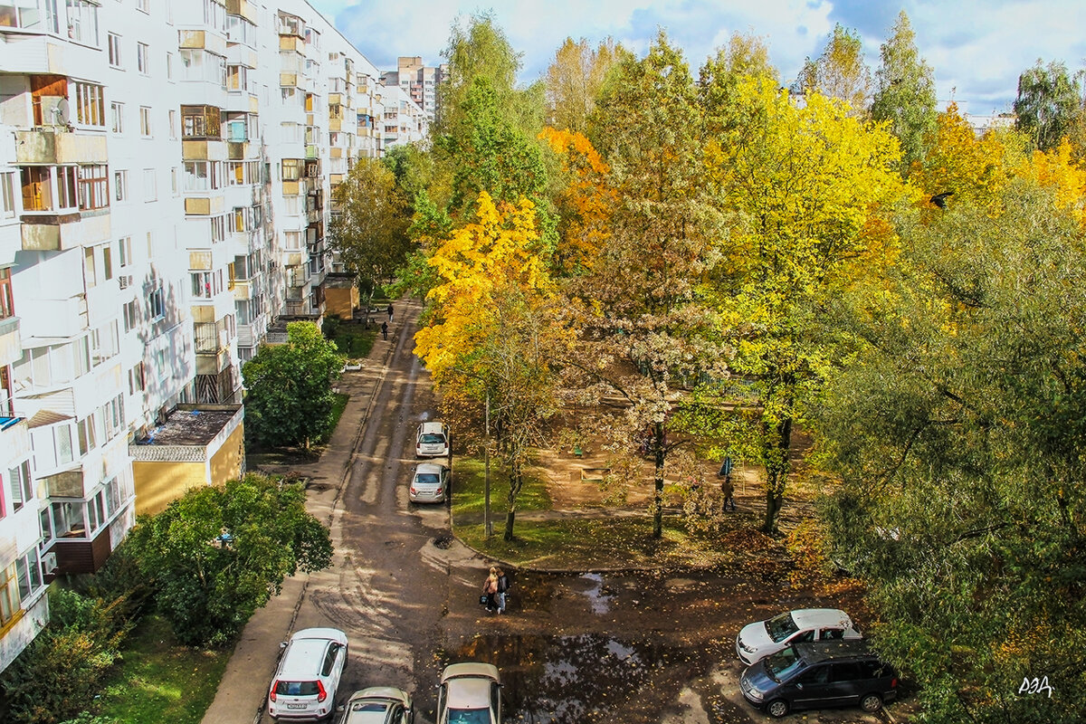 *** - Роланд Дубровский