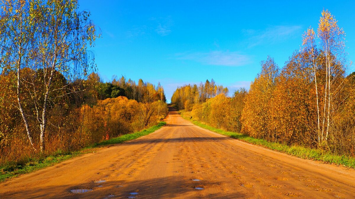 По дорогам Смоленщины. - Милешкин Владимир Алексеевич 