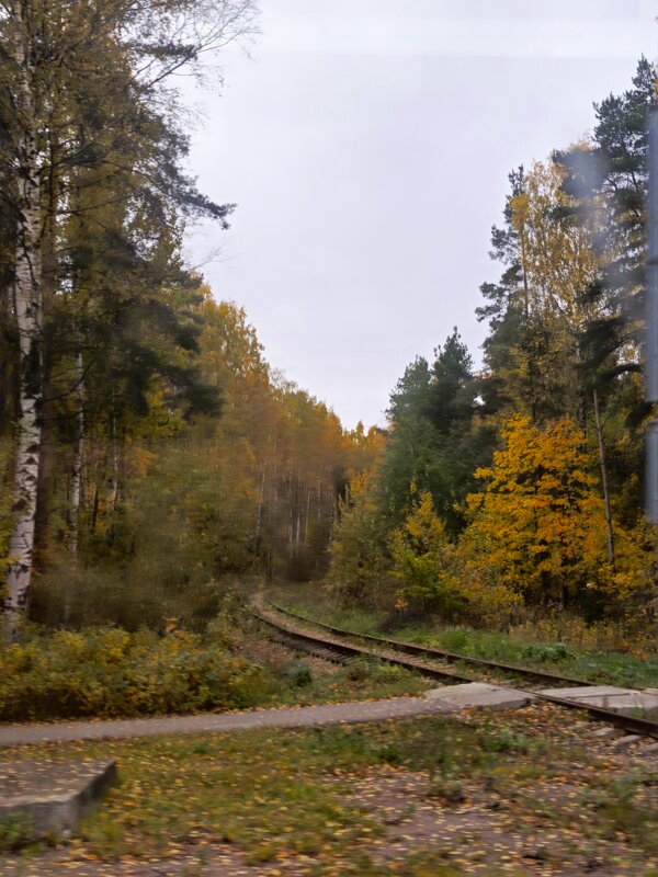 Осень, октябрь - Татьяна Пальчикова