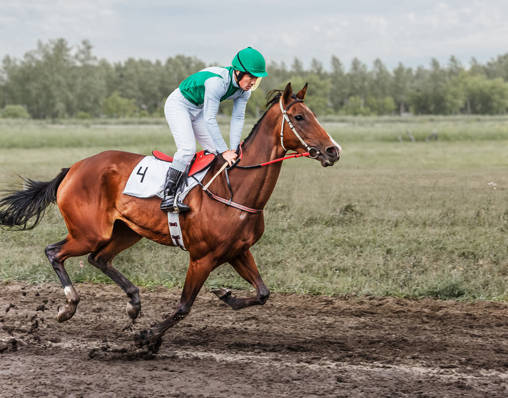 Скачки - SanSan 