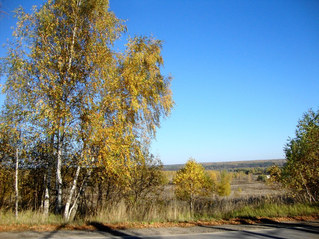 в октябре... - Галина Флора