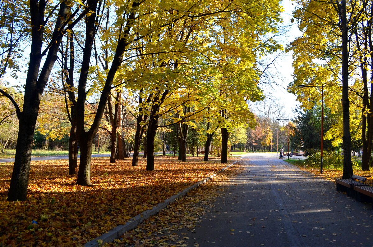 Осень в парке Кусково - Татьяна Тюменка