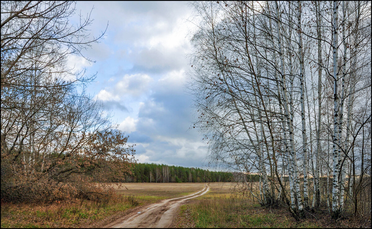 Осень - **** vedin