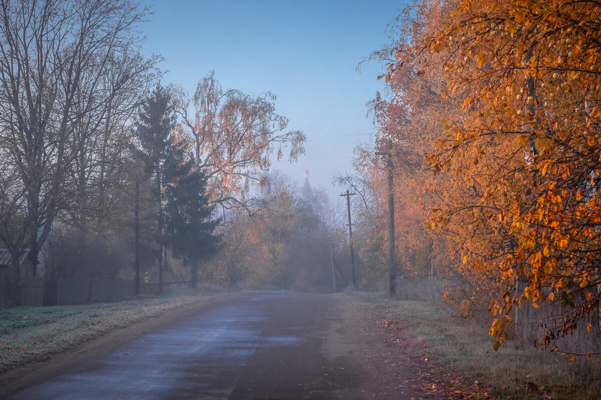 **** - Елизавета .