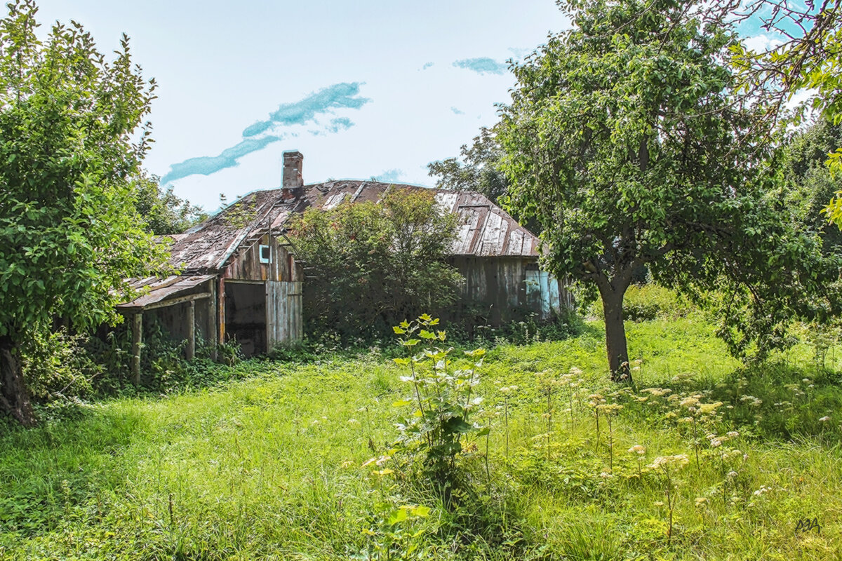 *** - Роланд Дубровский