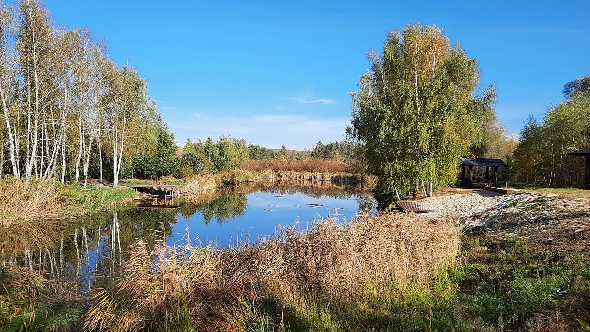 „Октябрьское" лето - Сеня Белгородский