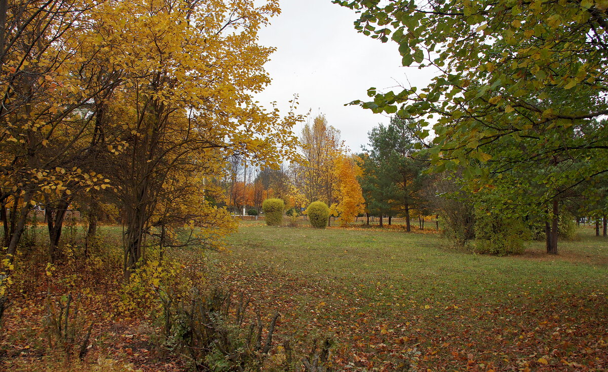 В осеннем парке - Елена Кирьянова