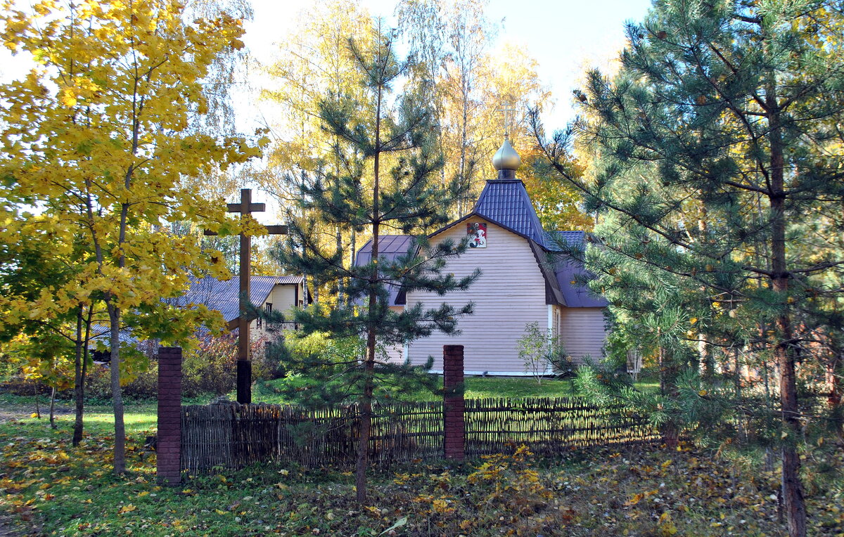 В лесном краю - AleksSPb Лесниченко