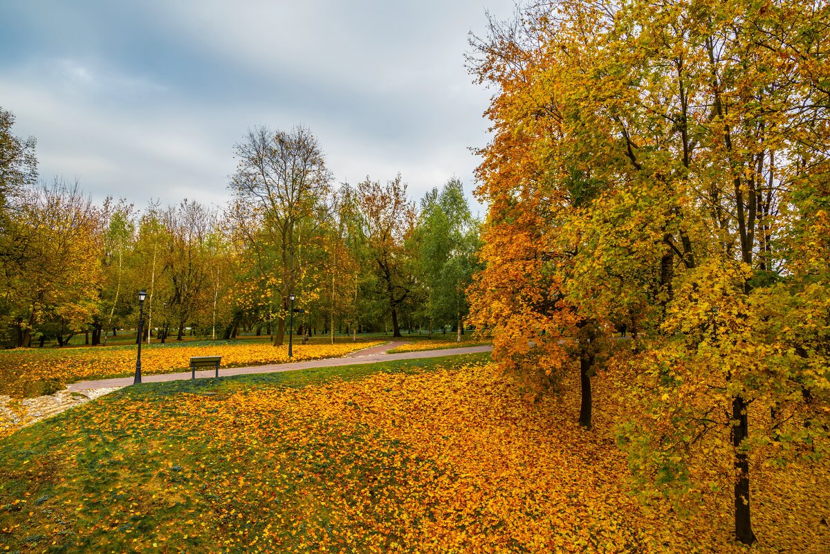 осень - Дмитрий 