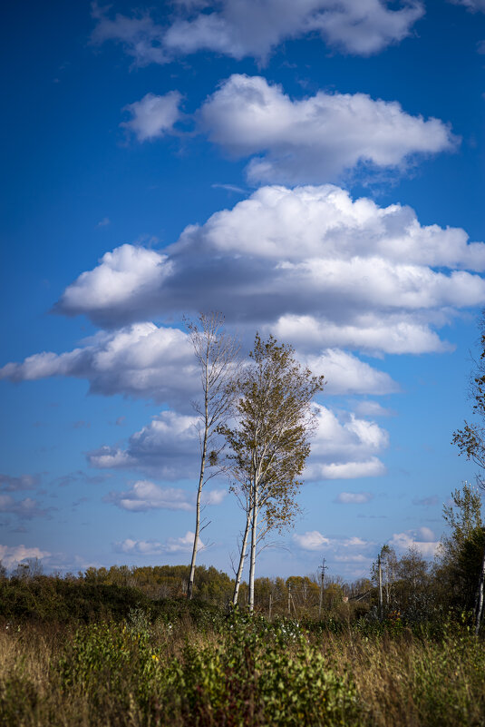 Sky - Evgenii Zlobin