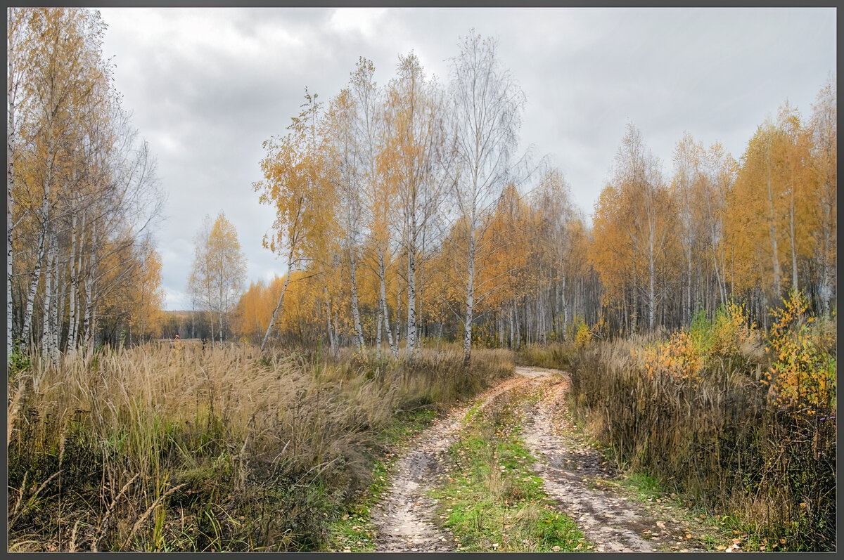 Осень - **** vedin