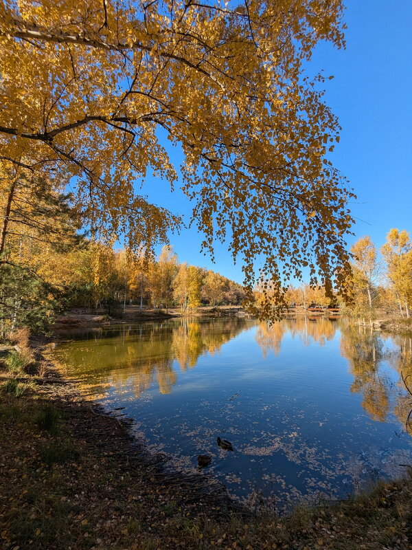 Золотая осень - Мария Богуславская