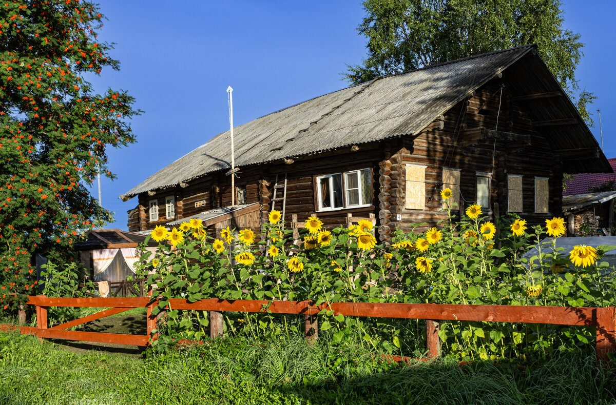 Старый дом - Александр Силинский